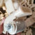 奔新农（BENXINNONG）滴灌带新款铺管托滴管带尼龙滑轮铺膜机节能灌溉水管播种机配件 尼龙铁轴加厚导向轮一个