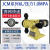 机械隔膜加药计量泵调节流量耐酸碱污水投药不锈钢变频防爆加药泵 JXM-C系列流量50L/H压力1.0