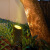 led可调角度照树射灯户外防水投光灯公园草坪地灯园林绿化景观灯 DMX512