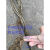 贵州巨龙钢丝绳棉芯6股麻芯软丝耐磨油丝绳7.7mm1m15mm全规格  1m 6*1911mm