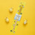 HELLO KITTY（凯蒂猫）筷子家用儿童专用10双竹筷可爱单人装创意网红一人一筷玉桂狗餐具 凯蒂猫-粉1双装