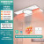 雷士（NVC）双出风米家智能浴霸暖风排气扇照明一体卫生间浴室取暖器集成吊顶 【2700W】米家智控真双出风