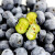 愉果（yuguo）国产蓝莓125g精选装 新鲜水果 125g*4盒专享