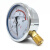 鸣驰 YN100耐震压力表水压油压液压抗震径向安装 YN100/0-6.0MPA/60KG 