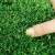 安赛瑞 仿真草坪 人造塑料假草坪2×10m幼儿园楼顶阳台假草皮市政绿化公园装饰人工假草坪2cm网格 700587