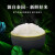 南纳香泰国香米 进口大米泰国米 长粒香米10kg公斤-大象系列一级大米 泰国香米5kg
