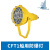 上海亮舟 船用防爆投光灯CFT1铝质铜质网罩IP56带镇流器400W/450W 防爆投光灯CFT1/金卤灯/400W