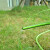安赛瑞 四分软管水管 塑料高压4分管 园艺花园浇花洗车 20米 大叶企业定制 530577
