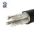 鼎献 电线电缆 YJLV 2*16平方 2芯国标铝芯阻燃电力电缆 10米