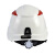 代尔塔102202-BLPP绝缘安全帽(顶) 白色 1箱/10个