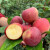 瑰玮苹果树果苗南方北方种植苹果树苗嫁接红富士冰糖心盆栽地载小树苗 青苹果5年苗（地径1.8厘米粗）
