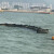 大工象 橡胶围油栏 WGJ1100	1米 加厚含全套配件 固体浮子式围油栏水域海面防护围挡