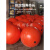 浮球航标警示标志障碍球航道水上浮标浮球塑料双耳海上水上漂浮球 800mm双耳230kg
