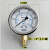 历修定制YN60不锈钢耐震压表力液油水防震气1/4PT  M14*1.5 0-1MPA/10KG (螺纹M14*1.5)