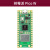 开发板RP2040芯片   双核 raspberry pi microPython 树莓派pico W单独主板（无焊接）