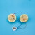 手工DIY科学实验材料小学初中学校可乐土豆柠檬番茄发电实验科技 水果电池（电子表款）