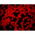 红色/绿色/黄色/蓝色聚苯乙烯荧光微球粉末稀土铕时间分辨荧光 100微米 2克