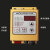控制器SDVC20-S原装智能数字调压振动盘直线送料调速器 SDVC20-S标配