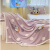 迪士尼（DISNEY）牛奶绒毛毯办公室午睡盖被春秋空调小被子盖毯冬季雪花绒沙发毯子 海绵宝宝 150*200毛毯