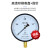 OLOEY上海仪川仪表厂Y150普通压力表气压表水压表供暖压力表来电 0-0.06MPA