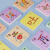 丹妮奇特 520张有图识字卡片幼儿童男孩女孩早教益智玩具宝宝认字卡片早教卡婴儿3-6岁生日礼物