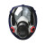 普达 KN95防毒全面具套装 防H₂S气体MJ-4008防毒全面具 面具+P-H₂S-2滤毒盒+滤棉套装