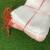 京苏 尼龙网袋 防虫网眼袋 种子袋水稻育种袋尼龙袋套纱网袋套袋40目 15*10cm（10个）