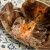 味巴哥宁波特产 个个有膏的醉毛蟹 大醉蟹  酱毛蟹  大闸蟹酱螃蟹