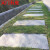 LISM踏步 步石庭院石青石防滑草坪垫脚汀厂家踏板青石板 花园庭院 不规则200*300
