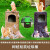 户外卡通创意垃圾桶雕塑公园景区幼儿园玻璃钢动物松鼠果皮箱分类 松鼠树桩双垃圾桶