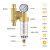 前置过滤器万向型 斯密斯热万向前置过滤器反冲洗家用大流量中央屋自来水净水器 万向4分【上门安装】3T