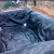 鱼塘防渗膜HDEP土工膜鱼池防水膜鱼塘专用膜黑色塑料防水布藕池膜 5米宽5米长