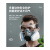盛融乾 防毒防尘工业粉尘面具全面罩喷漆呼吸防护罩 双罐防尘毒7件套+全密封眼罩+20