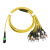 MPO-MPO-LC/FC/MTP万兆单模apc光纤跳线8 12芯40G100G模块连接线OS2 单模MPO-24FC 2m
