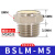 电磁阀气动消音器BSL02铜质消声滤芯过滤器气动接头 BSLM-M5