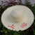 朋安 夏季农用草帽 防晒帽遮阳帽 田园风大沿草编帽  漂白上海44-45厘米1顶 