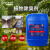 柯瑞柯林/CreClean 植物除臭剂垃圾站养殖厕所下水道垃圾场植物除臭剂喷淋塔空气清新CC604 25kg/桶 1桶装