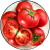 秋水蓝天生吃爆沙瓤 普罗旺斯西红柿 有种番茄 自然熟 新鲜农家蔬菜水果 甄选优质大果【带箱5斤】