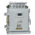 电光 矿用隔爆型双回路照明信号综合保护装置|ZJZ2-16/1140(660)M-2煤安号MAE200014