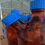 驻季棕色螺口流动相液瓶二口三口四口储液瓶色谱溶剂瓶蓝盖丝试剂瓶 四口2000ml