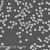 单分散聚苯乙烯磁性微球ps微米/纳米磁珠羧基化生物磁珠偶联 氨基化磁珠 10毫升 2.5%固含量25mg/ml