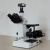 三目倒置金相显微镜 金相分析软件自动评级 金相显微镜  4XCE 4XC 浅灰色