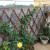 户外防腐伸缩实木栅栏碳化阳台围栏花园墙壁挂装饰爬藤架白色网格 碳化H127(厚0.7cm) 大