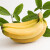 探味君 高山香蕉 香甜大香蕉banana 当季新鲜水果芭蕉带箱 9斤精选装
