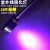 高灯台灯夹LED紫外线固化灯UV玻璃固化UV油墨绿油液晶玻璃固化灯 5W395nm 6-10W