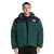 北面（The North Face）美版羊羔绒NUPTE男羽绒服600蓬松度 D7V-松树绿 S