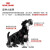 皇家狗粮（Royal Canin） 迷你雪纳瑞幼犬全价粮 SNJ30 1.5kg