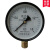 上海荣华仪表Y-100 水压表1.6mpa气压表 真空表负压表2.5 0.6 1 00.16mpa  1.6公斤