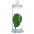 玻璃标本瓶加厚标本缸植物样品瓶展示瓶病理瓶福尔马林液浸泡瓶 花色 90*90mm