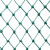 鼎红 定制养鸡网家禽养殖网鸡鸭防护网菜园果园围网护栏网12股孔2cm*宽1.5m*长10m